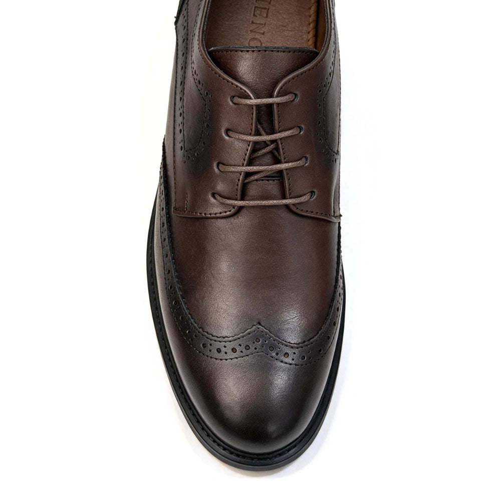 OR05 Derby Perforé Homme – Cuir Marron